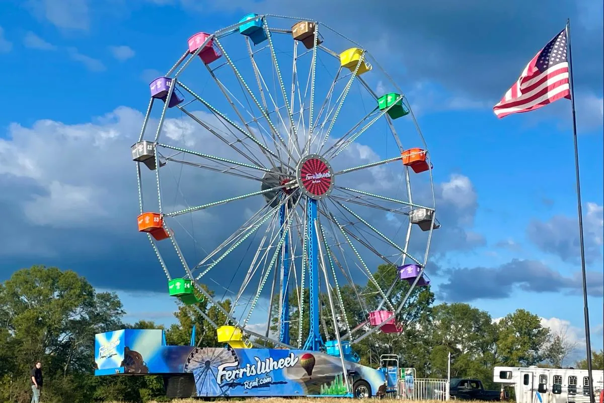 LED light Ferris Wheel