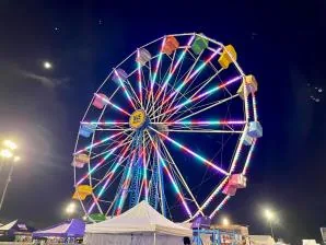 LED-Enhanced Ferris Wheel