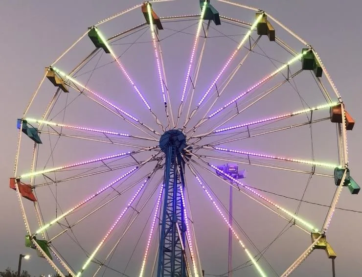 LED Ferris Wheel
