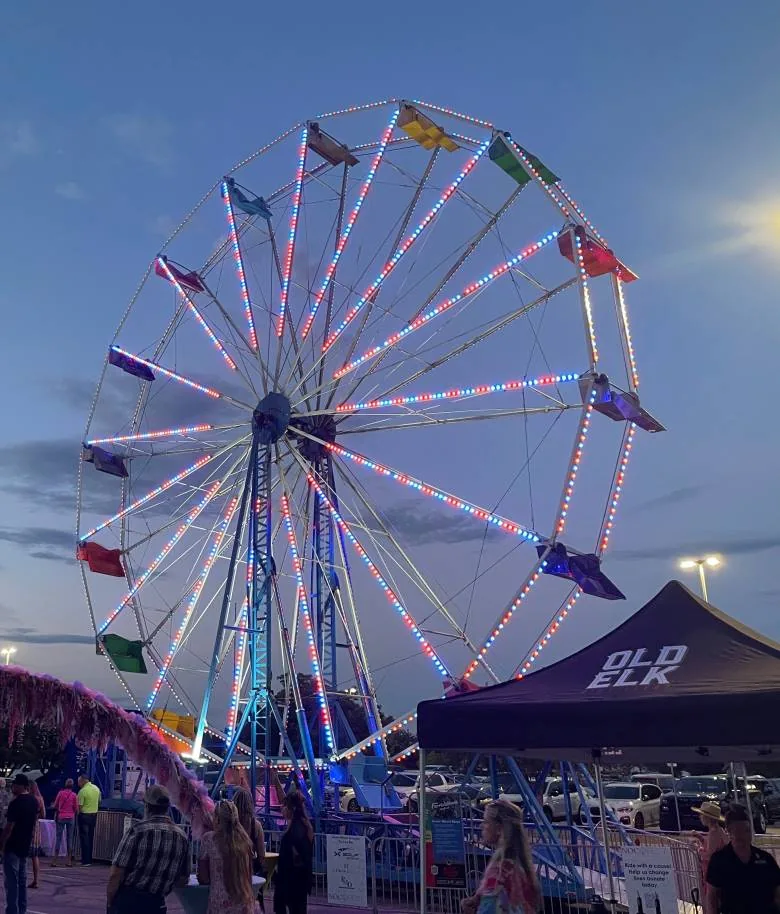 Rent Ferris Wheel for Carnivals & Festivals